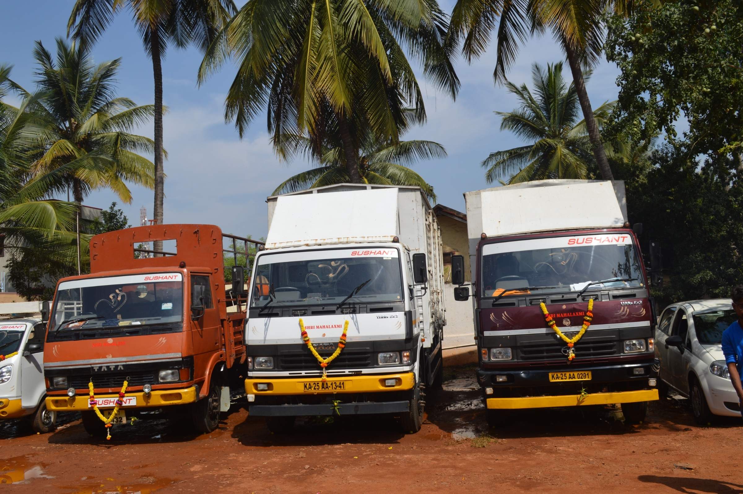 Three Sushant Tata trucks, two with box bodies, parked side by side under palms